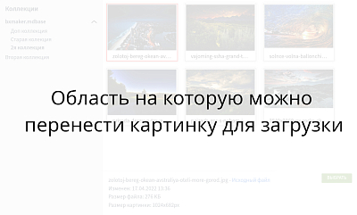 2022-04-17_14-11.jpg
